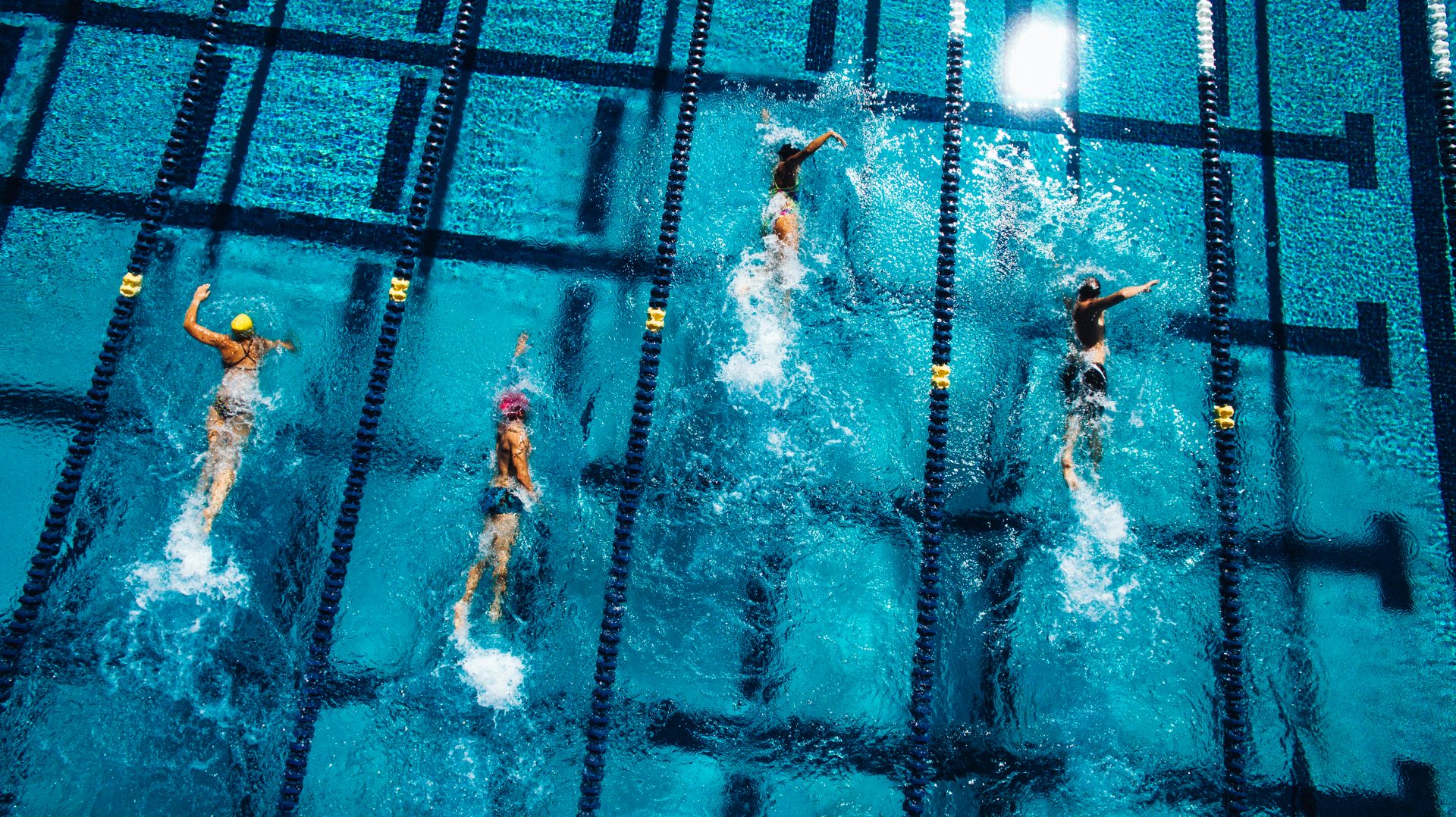 Lap Swim
